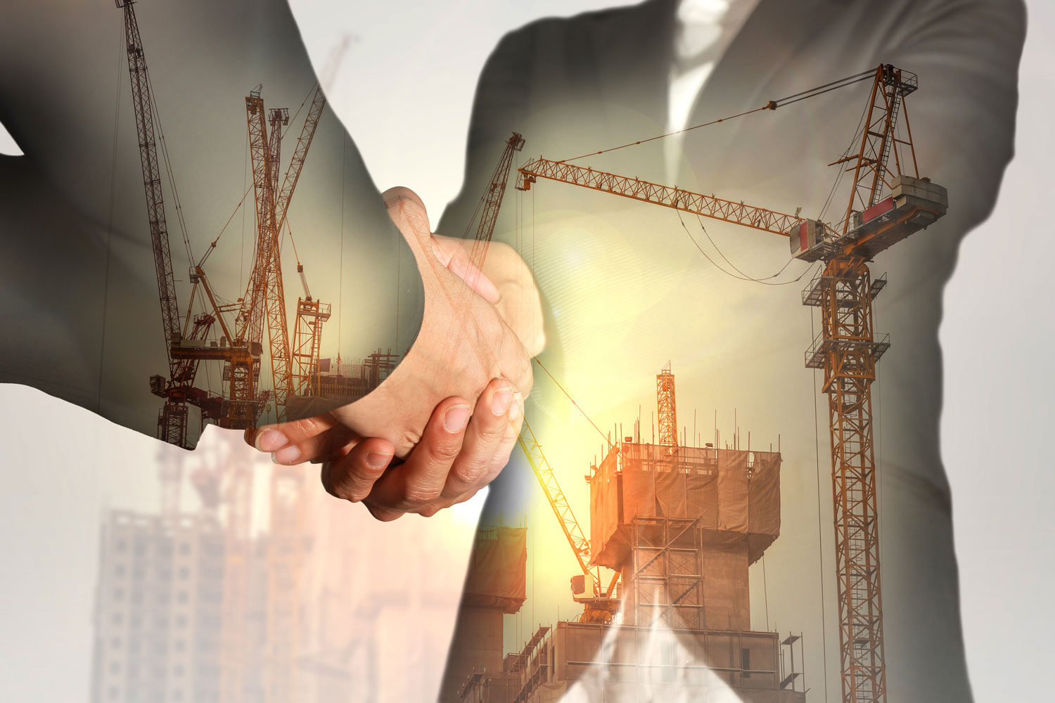 Risk Profiling & Management
